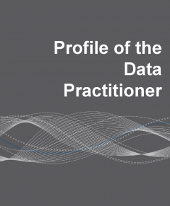Profile of the Data Practitioner