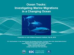 GMRI Presentation on Ocean Tracks