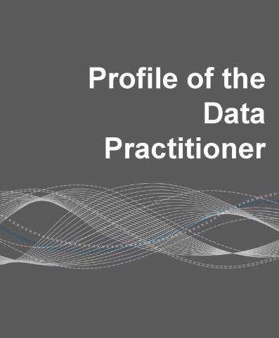 Profile of the Data Practitioner