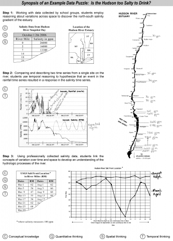 Synopsis of Example Data Puzzle
